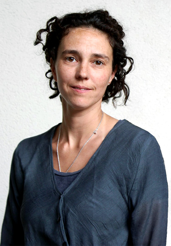 Viviana L. Toro Matuk - Organização