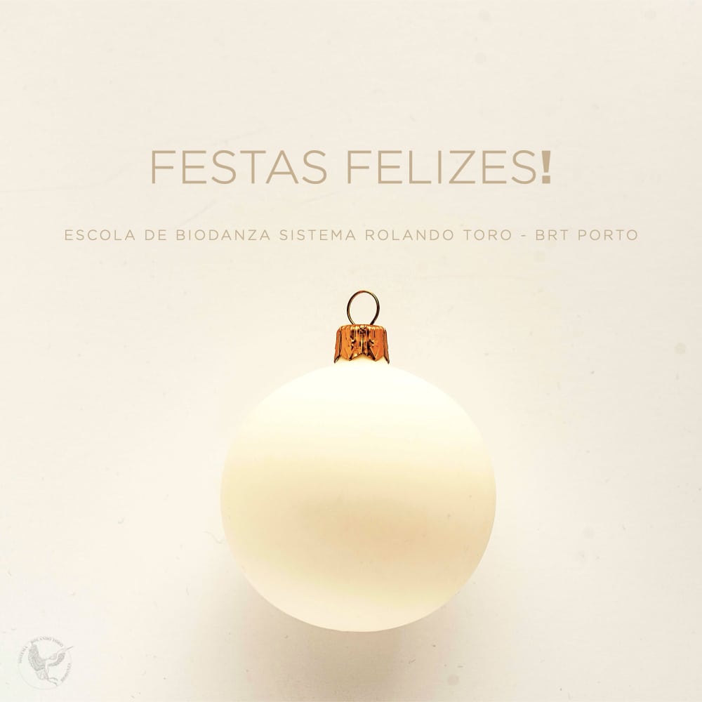 Festas felizes_2024_2025