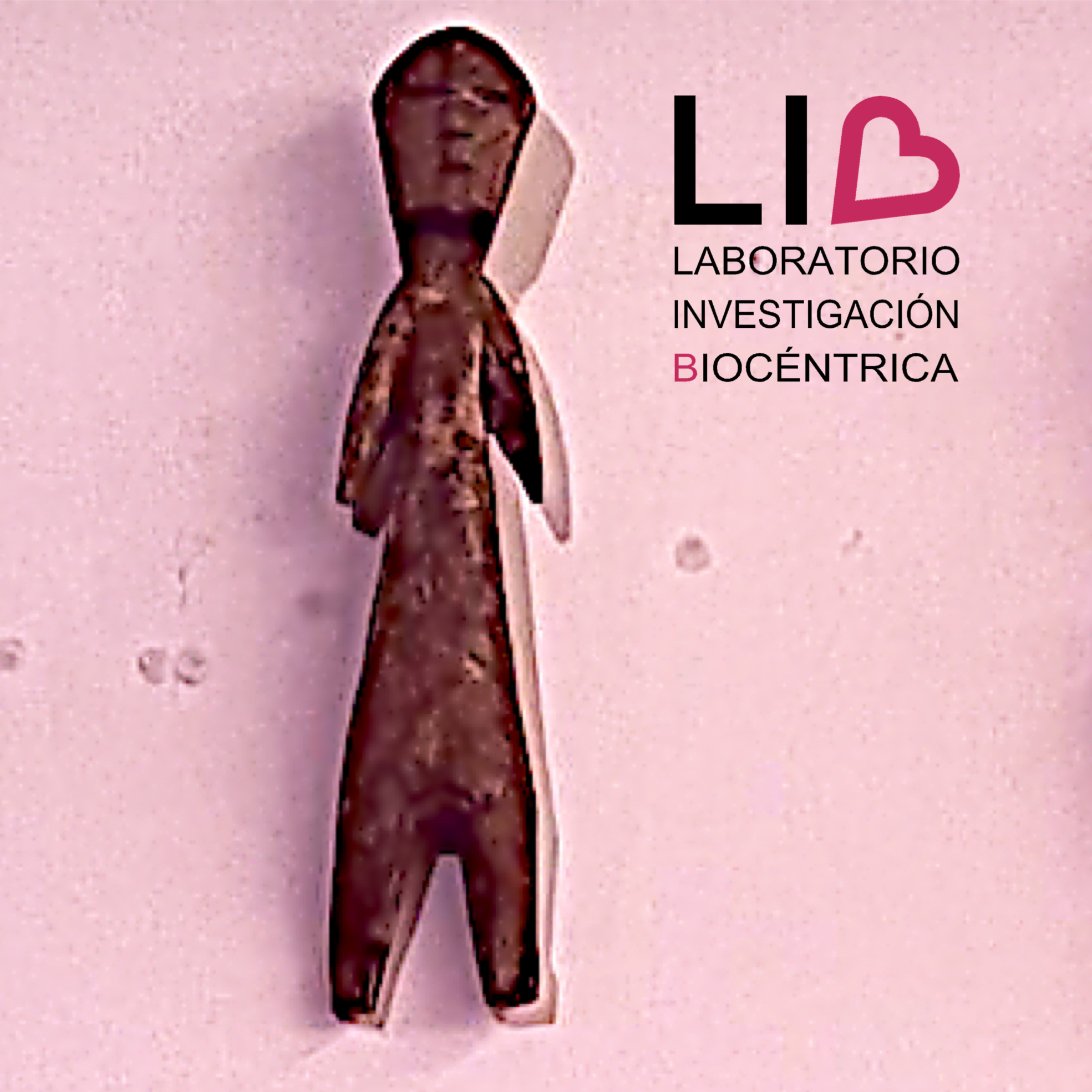 LIB_1_pt